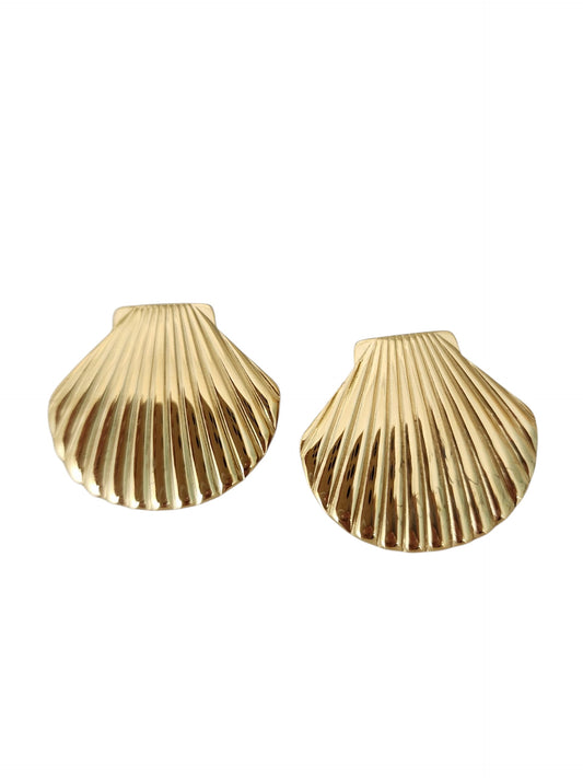 SEA SHELL SHINE CarolinaJewelry